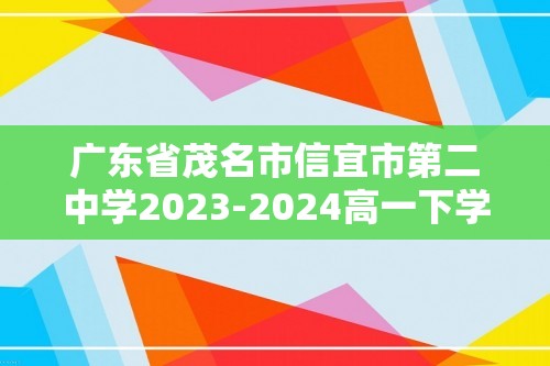 广东省茂名市信宜市第二中学2023-2024高一下学期6月期末考试化学试题（答案）