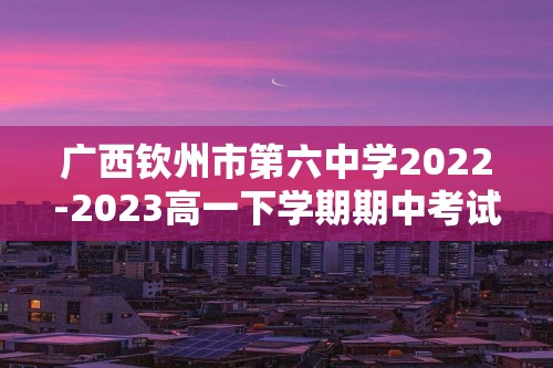 广西钦州市第六中学2022-2023高一下学期期中考试化学（高考班）试题（答案）