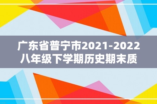 广东省普宁市2021-2022八年级下学期历史期末质量监测试卷