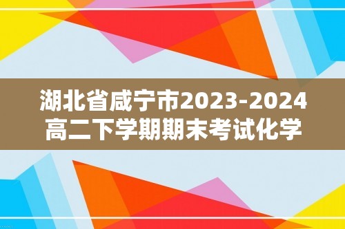 湖北省咸宁市2023-2024高二下学期期末考试化学试题（含解析）