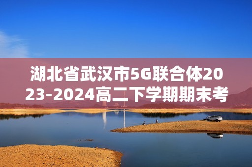 湖北省武汉市5G联合体2023-2024高二下学期期末考试化学试卷（PDF含答案）