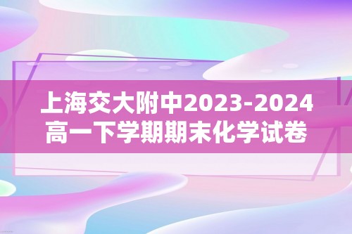 上海交大附中2023-2024高一下学期期末化学试卷（无答案）