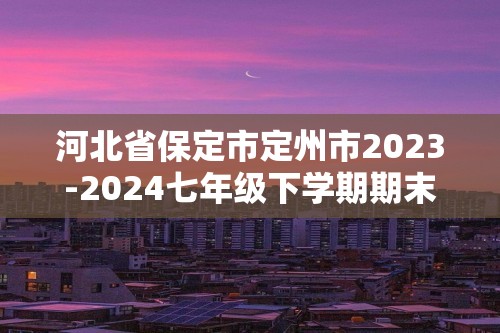 河北省保定市定州市2023-2024七年级下学期期末数学试题（含答案）