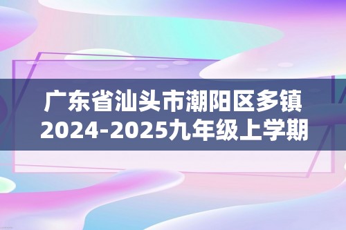 广东省汕头市潮阳区多镇2024-2025九年级上学期期中考试化学试卷（图片版含答案）