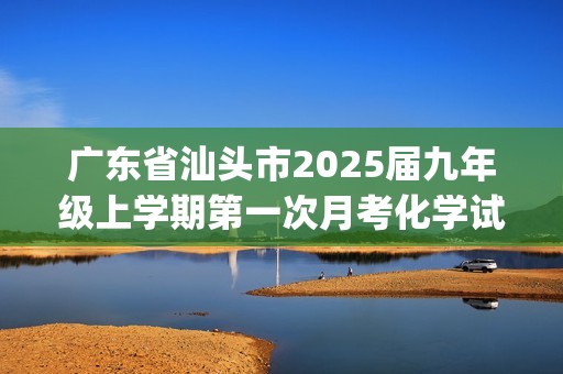 广东省汕头市2025届九年级上学期第一次月考化学试卷(含解析)