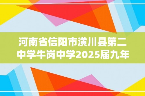 河南省信阳市潢川县第二中学牛岗中学2025届九年级上学期10月月考化学试卷(含解析)