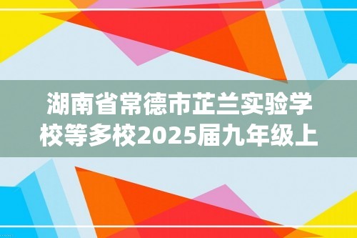 湖南省常德市芷兰实验学校等多校2025届九年级上学期第一次月考化学试卷(含解析)