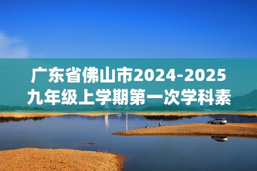 广东省佛山市2024-2025九年级上学期第一次学科素养监测化学试卷（含答案)