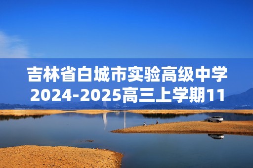 吉林省白城市实验高级中学2024-2025高三上学期11月期中考试 化学试题（答案）