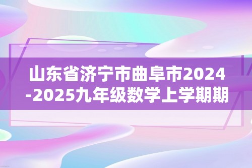 山东省济宁市曲阜市2024-2025九年级数学上学期期中试卷（含答案）