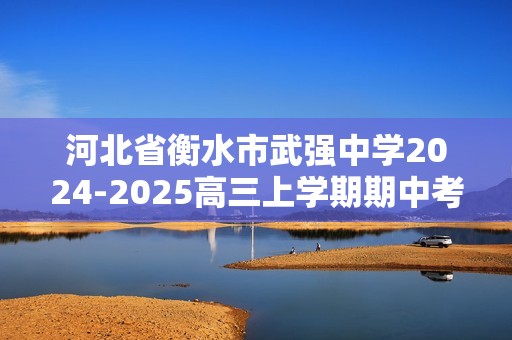 河北省衡水市武强中学2024-2025高三上学期期中考试  化学试题（答案）