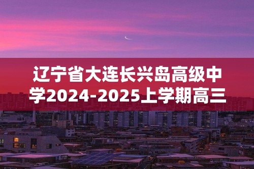 辽宁省大连长兴岛高级中学2024-2025上学期高三10月份月考化学试题（答案）