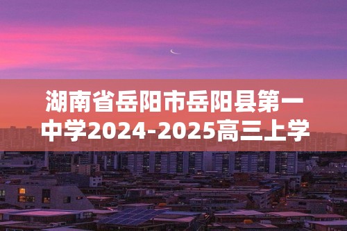 湖南省岳阳市岳阳县第一中学2024-2025高三上学期10月月考 化学试题（答案）