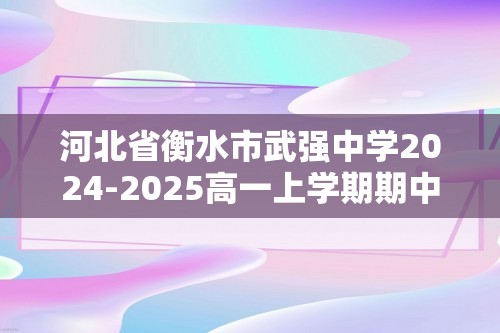 河北省衡水市武强中学2024-2025高一上学期期中考试  化学试题（答案）