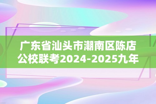 广东省汕头市潮南区陈店公校联考2024-2025九年级上学期10月期中考试化学试题（图片版含答案）