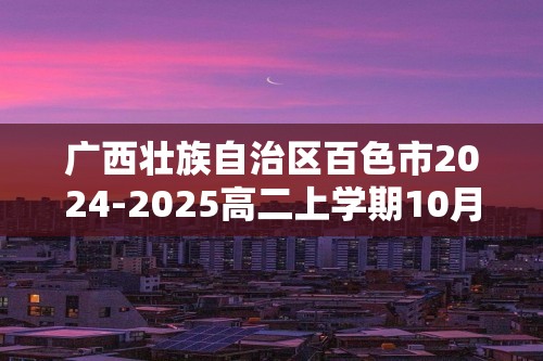 广西壮族自治区百色市2024-2025高二上学期10月月考 化学试题（答案）