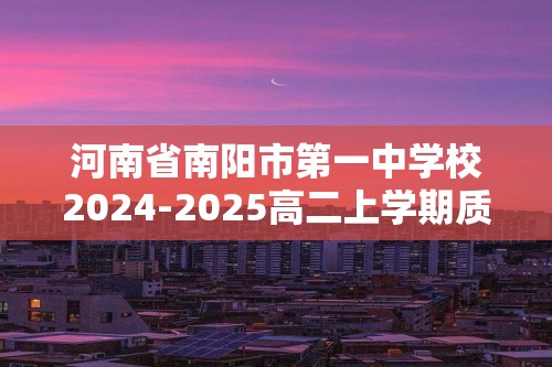 河南省南阳市第一中学校2024-2025高二上学期质量检测化学试题（答案）