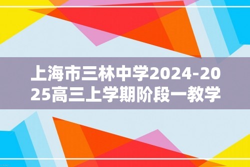 上海市三林中学2024-2025高三上学期阶段一教学质量检测化学试卷（答案）