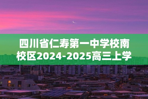 四川省仁寿第一中学校南校区2024-2025高三上学期10月月考化学试题（答案）