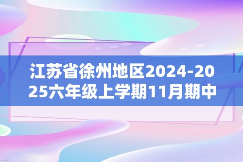 江苏省徐州地区2024-2025六年级上学期11月期中调研数学试卷二（有答案）