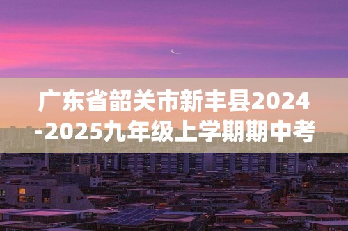 广东省韶关市新丰县2024-2025九年级上学期期中考试数学试题(含答案）