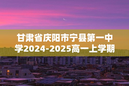 甘肃省庆阳市宁县第一中学2024-2025高一上学期期中考试化学试卷（答案）