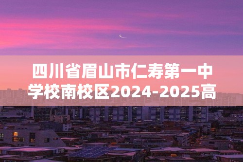 四川省眉山市仁寿第一中学校南校区2024-2025高一上学期10月月考 化学试题（答案）