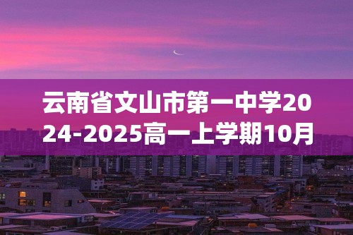 云南省文山市第一中学2024-2025高一上学期10月期中考试 化学试题(无答案)