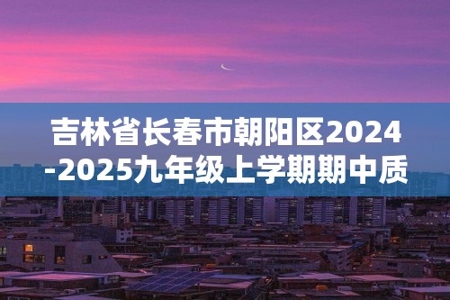 吉林省长春市朝阳区2024-2025九年级上学期期中质量监测化学试卷（答案）