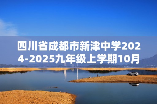 四川省成都市新津中学2024-2025九年级上学期10月月考化学试题（答案）