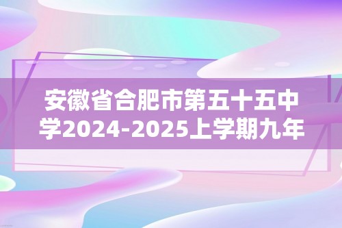 安徽省合肥市第五十五中学2024-2025上学期九年级期中数学试题（图片版无答案）