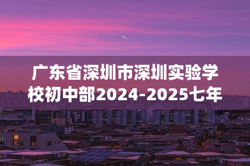 广东省深圳市深圳实验学校初中部2024-2025七年级上学期期中考试数学试卷(含答案）