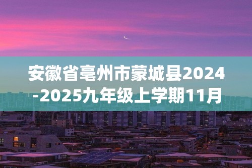 安徽省亳州市蒙城县2024-2025九年级上学期11月月考化学试题(无答案)