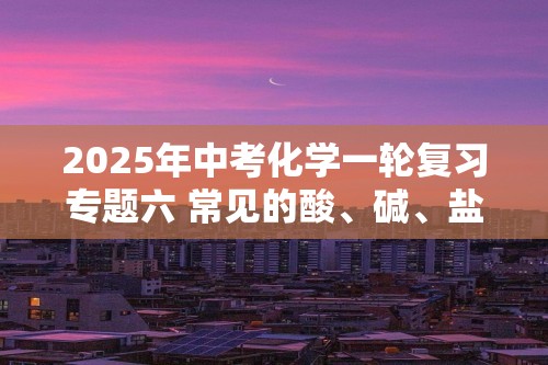 2025年中考化学一轮复习专题六 常见的酸、碱、盐练习（答案）