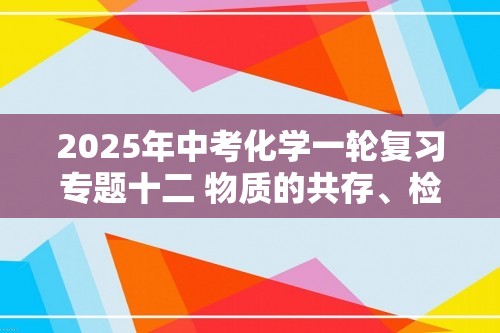 2025年中考化学一轮复习专题十二 物质的共存、检验、鉴别、分离和除杂练习（答案）