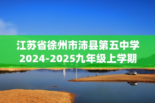 江苏省徐州市沛县第五中学2024-2025九年级上学期11月期中化学试题(答案)