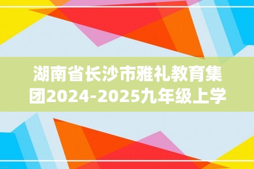 湖南省长沙市雅礼教育集团2024-2025九年级上学期期中考试化学试卷(图片版,含答案)