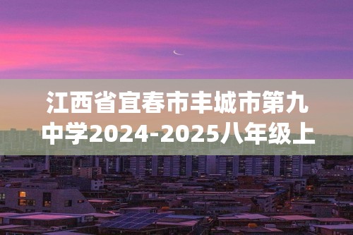 江西省宜春市丰城市第九中学2024-2025八年级上学期第一次段考化学试卷(含解析)