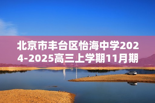 北京市丰台区怡海中学2024-2025高三上学期11月期中考试 化学试题（无答案）