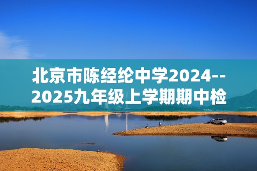 北京市陈经纶中学2024--2025九年级上学期期中检测化学试卷（答案）