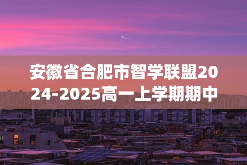 安徽省合肥市智学联盟2024-2025高一上学期期中考试 化学试题(无答案)