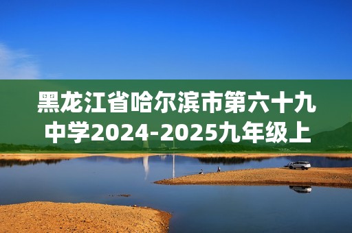 黑龙江省哈尔滨市第六十九中学2024-2025九年级上学期期中学情反馈化学试题(答案)