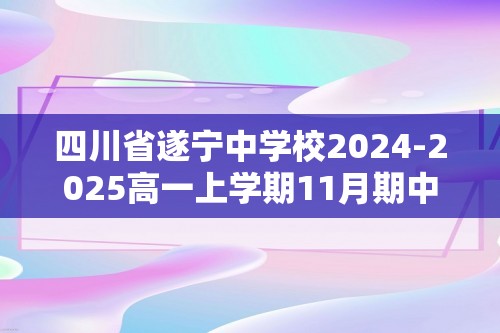 四川省遂宁中学校2024-2025高一上学期11月期中考试 化学试题（答案）