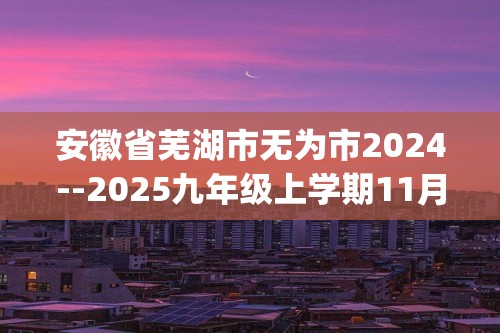 安徽省芜湖市无为市2024--2025九年级上学期11月期中化学试题(答案)