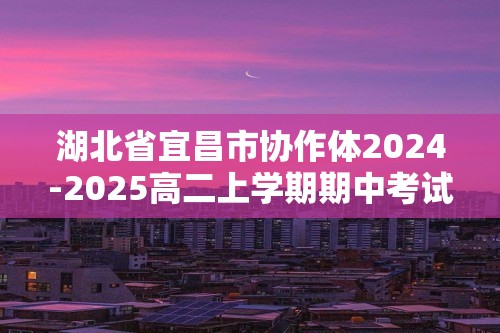 湖北省宜昌市协作体2024-2025高二上学期期中考试化学试题（答案）