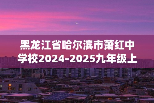 黑龙江省哈尔滨市萧红中学校2024-2025九年级上学期期中考试化学试卷（含答案)