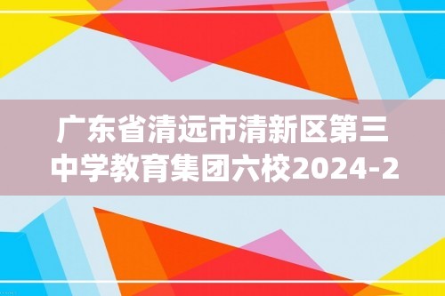 广东省清远市清新区第三中学教育集团六校2024-2025九年级上学期11月期中联考化学试题(答案)