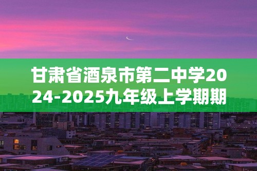 甘肃省酒泉市第二中学2024-2025九年级上学期期中学业水平评价化学试卷（答案）