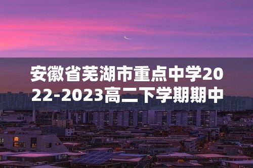 安徽省芜湖市重点中学2022-2023高二下学期期中考试化学试题（答案）