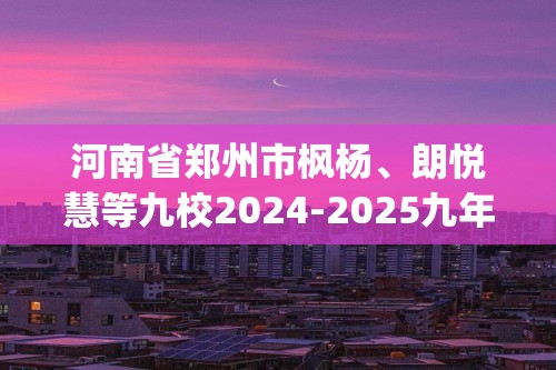 河南省郑州市枫杨、朗悦慧等九校2024-2025九年级上学期期中考试化学试题(图片版,含答案)